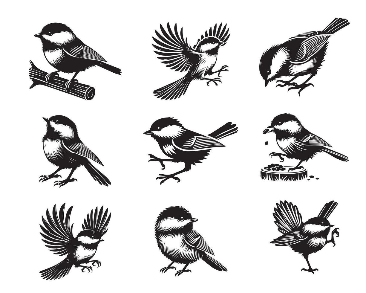 Set of Black-capped chickadee Silhouette Design - Black-capped chickadee Illustration vector