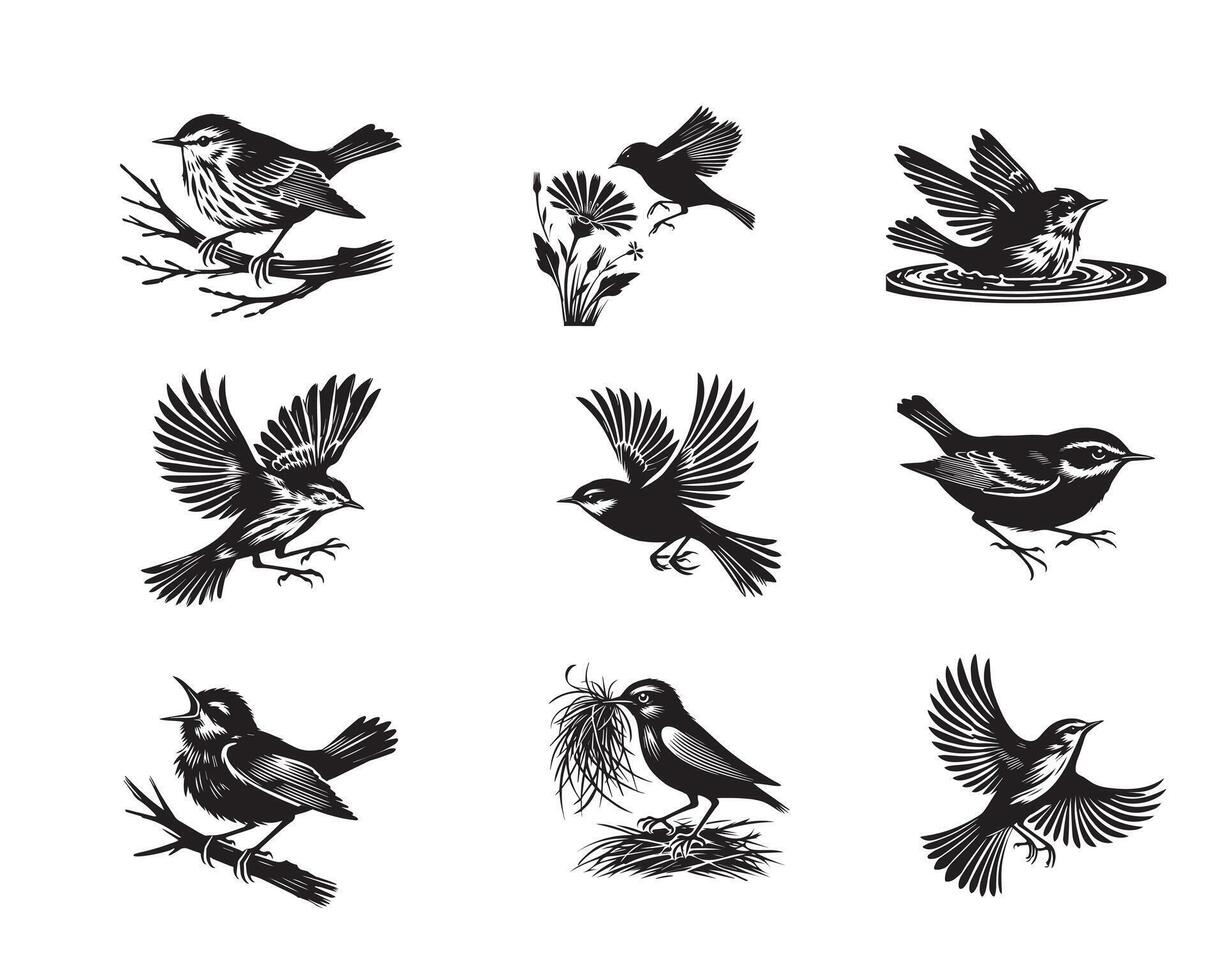 Collection of Yellow warbler illustration - Yellow warbler Bird Clipart Design vector