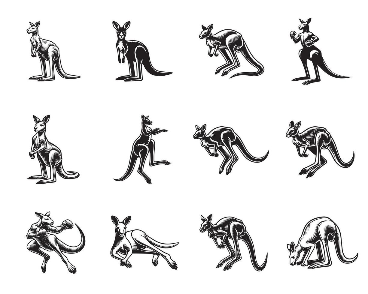 Collection of Kangaroo ClipArt Design - Kangaroo illustration in black and white vector