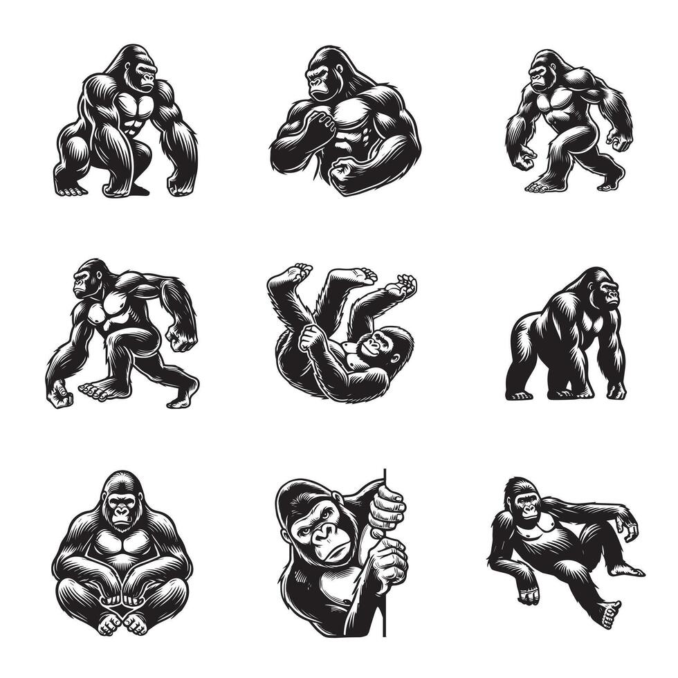 Set of Gorilla bodybuilder Silhouette Design - Gorilla Illustration vector