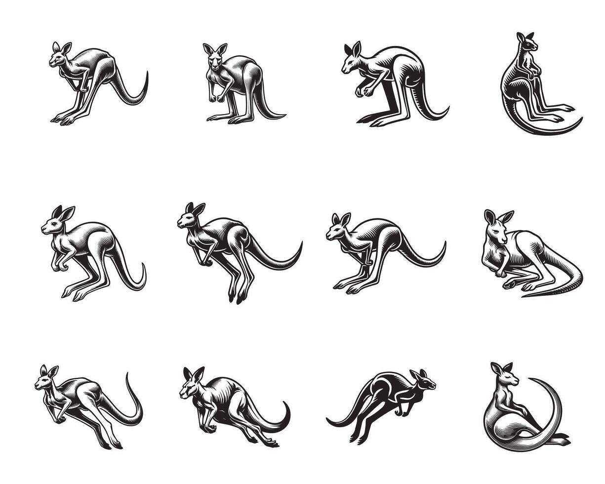 Collection of Kangaroo ClipArt Design - Kangaroo illustration in black and white vector