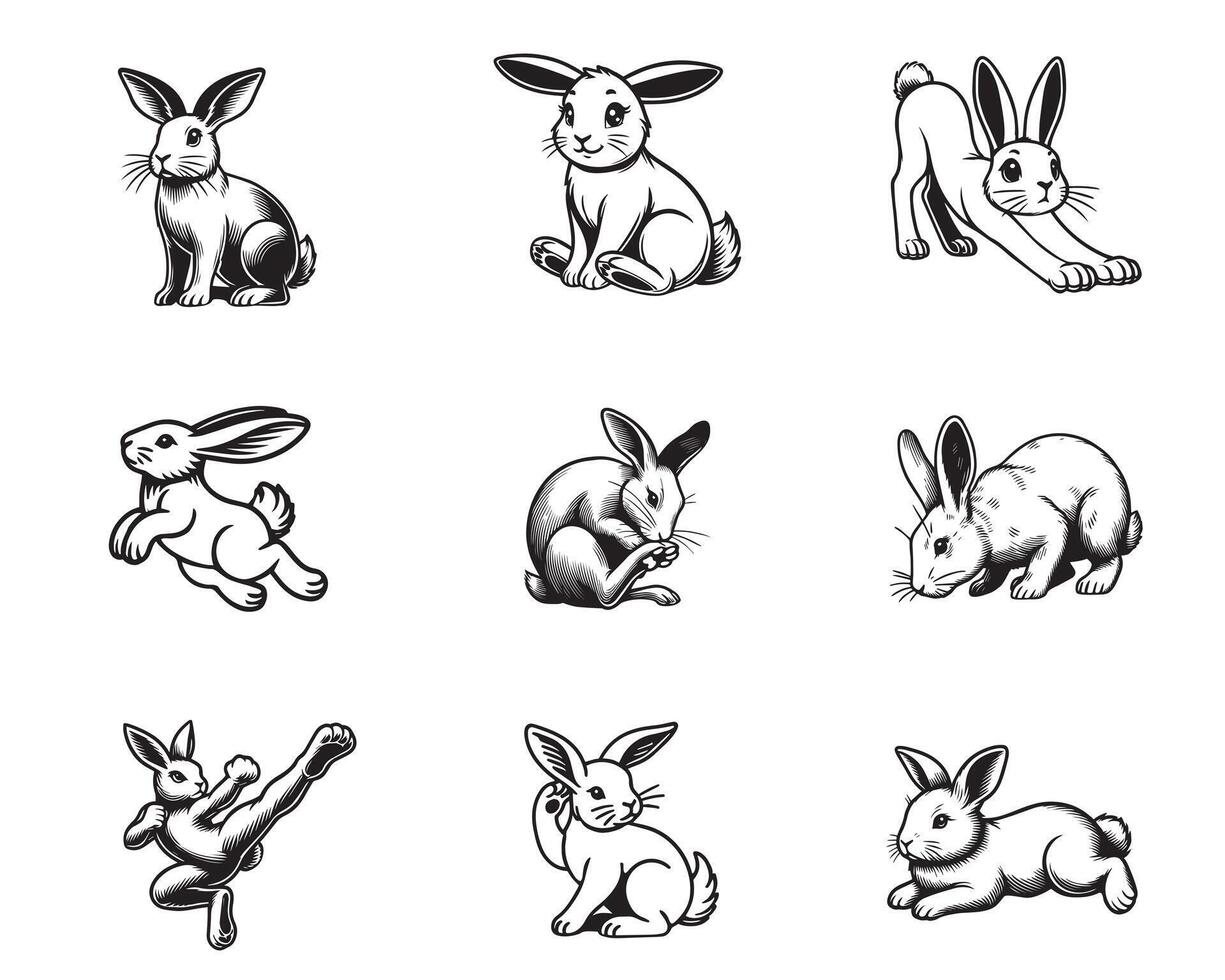 Set of Rabbit Outline Design - bunny illustration in black and white vector