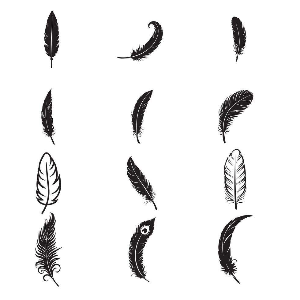 Collection of Feather silhouette Design - Bird Feather illustration in black and white vector
