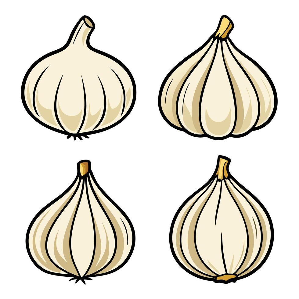 Four garlic cloves on a white background vector