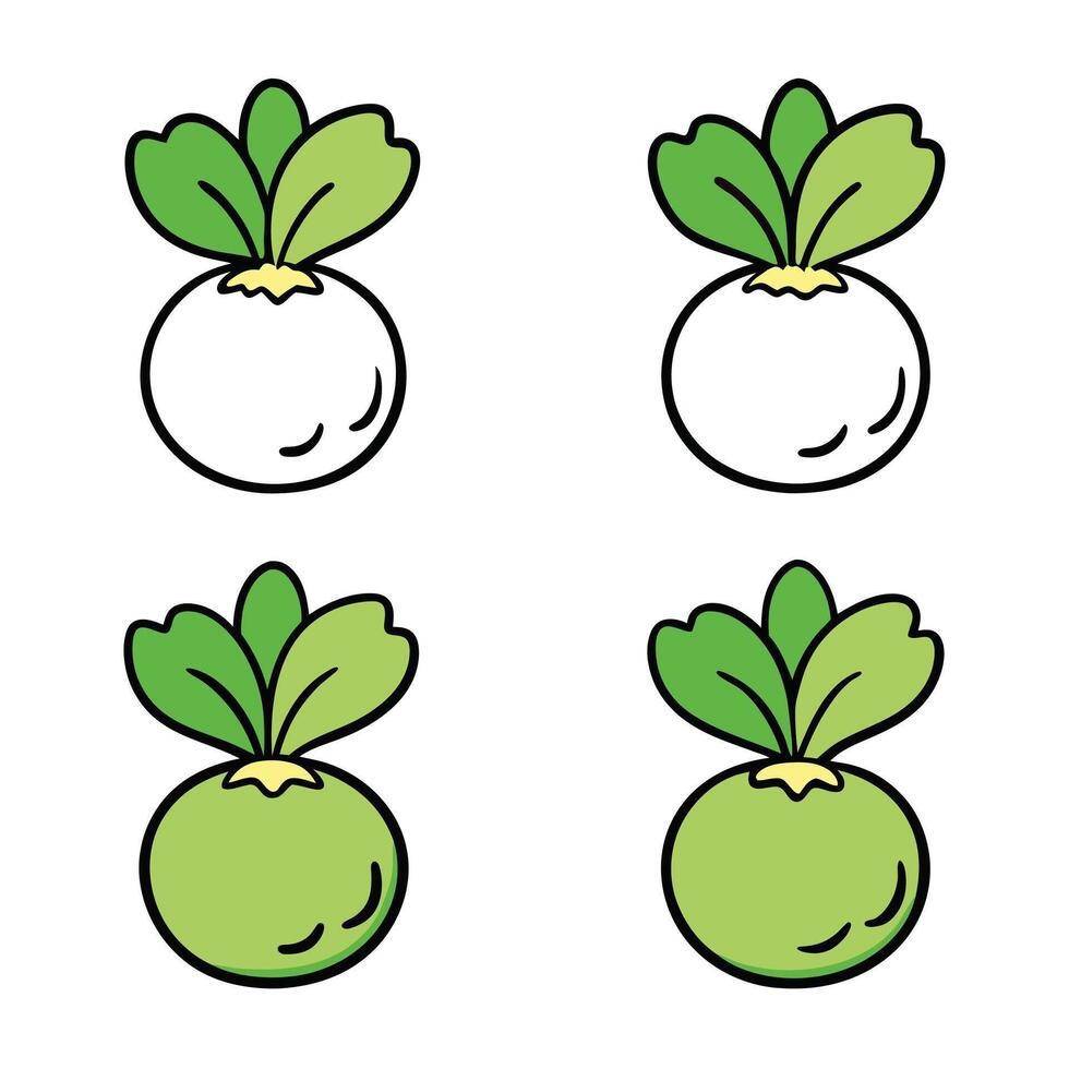 Four different types of vegetables with green leaves vector