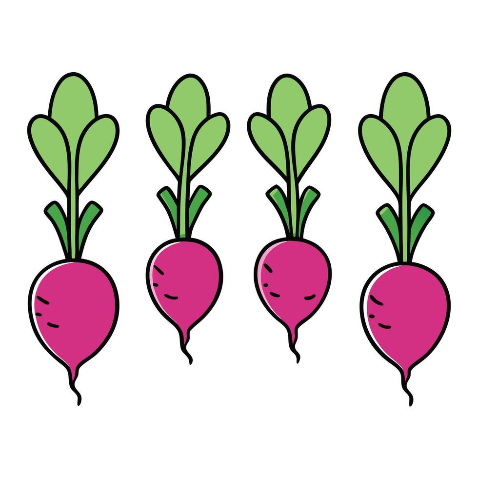 A group of three beetroots with green leaves vector