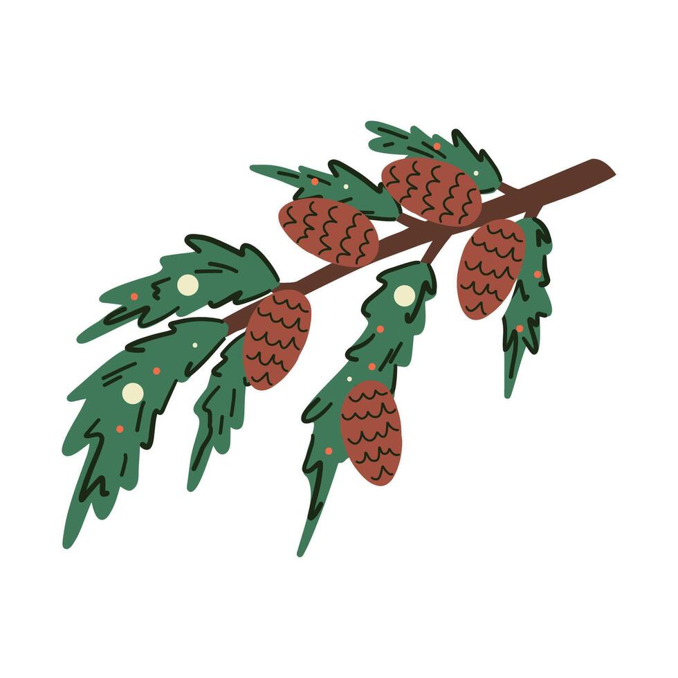 Hand drawn illustration of a pine twig with cones. Spruce branch, fir tree. Flat in color doodle style. vector