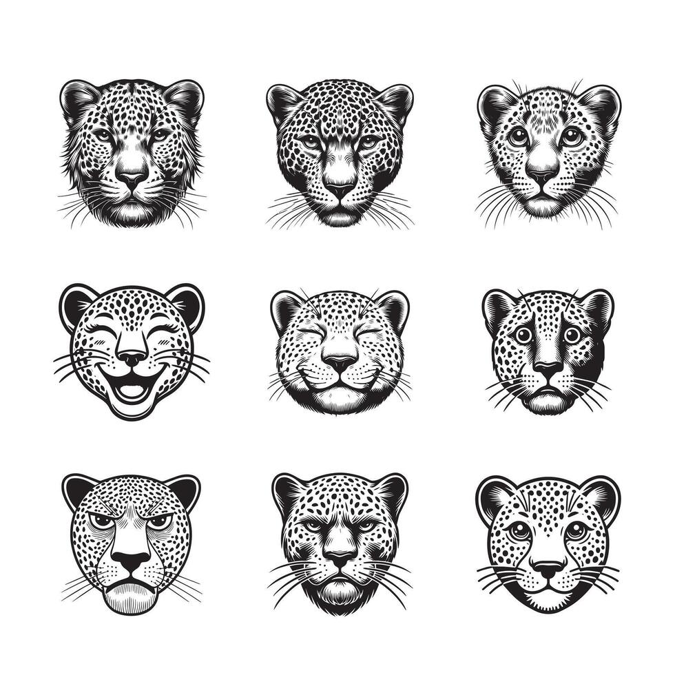 Set of Leopard face illustration in black and white - Panthera Pardus Head clipart Design Bundle vector