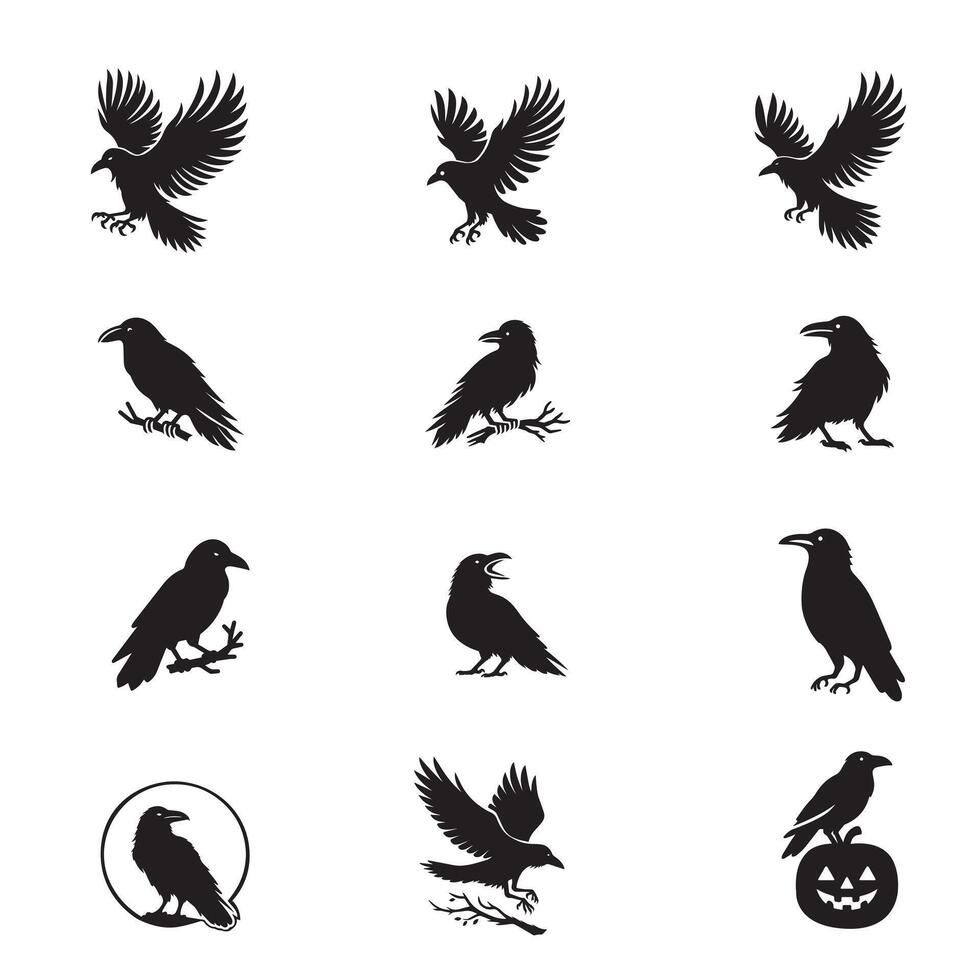 Raven Bird silhouette Design Bundle - Common Raven illustration vector