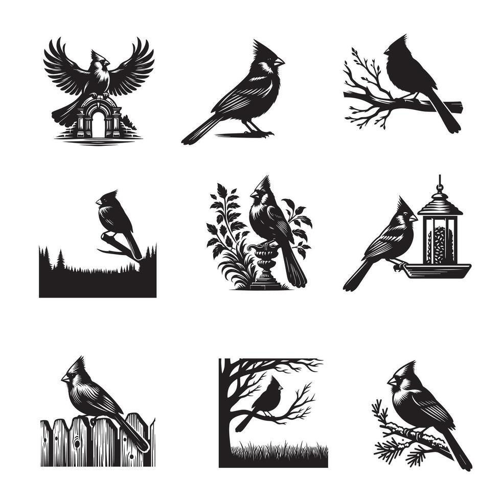 Set of Northern cardinal illustration, Northern cardinal Bird Different Activities silhouettes vector