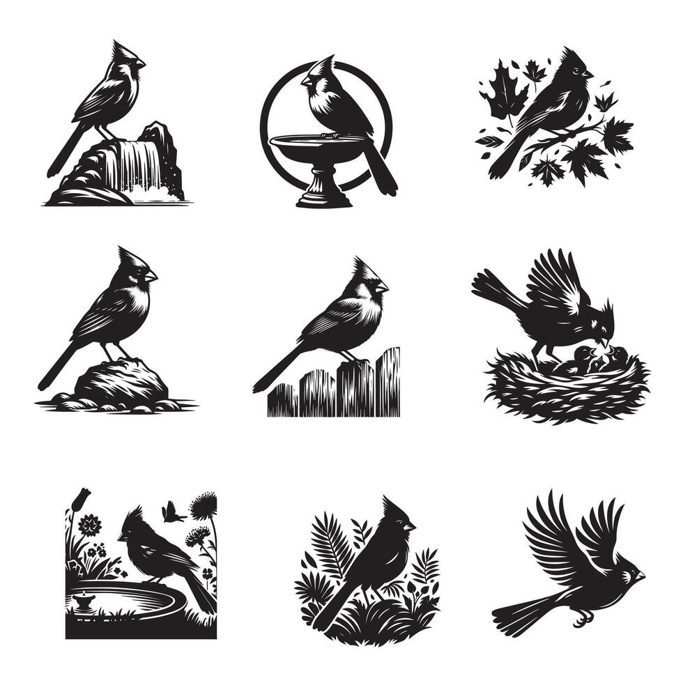 Set of Northern cardinal illustration, Northern cardinal Bird Different Activities silhouettes vector