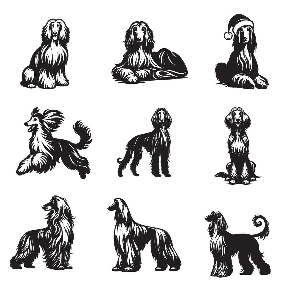 Set of Afghan Hound Dog illustration - Afghan Hound Dog Different Activities Clipart Design vector