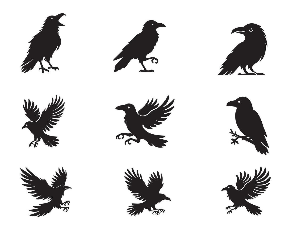 Collection of Raven Bird silhouette Design - Common Raven illustration vector