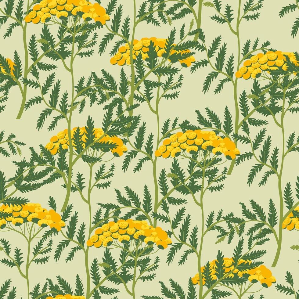 Yellow Wildflowers Botanical Pattern vector