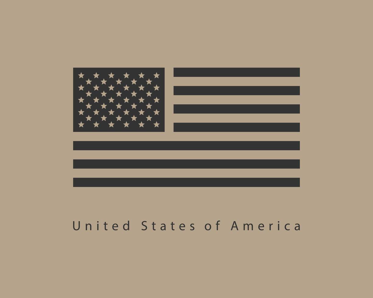 USA flag . Modern style United States of America symbol. American banner design element vector
