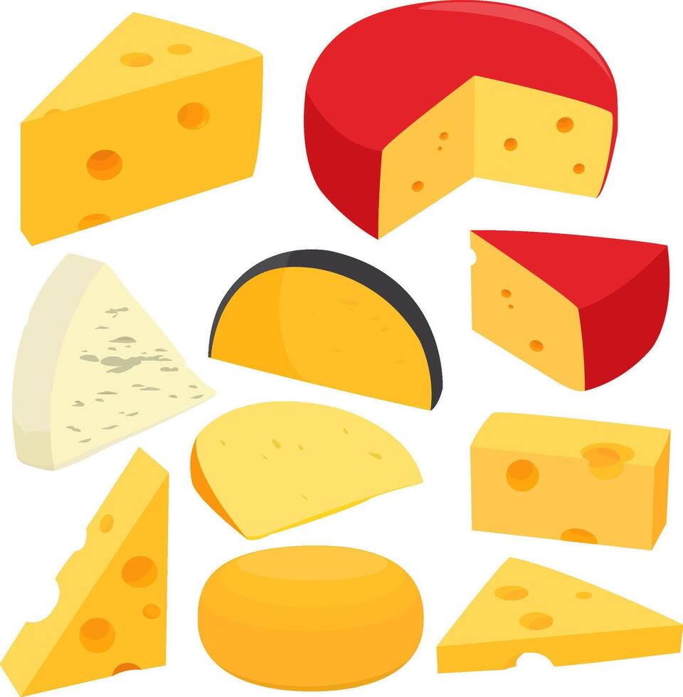 Set of dairy products, cheese sliced in pieces. Various types of cheese, emmental, gouda, cheddar, parmesan, brie or Swiss cheese. vector