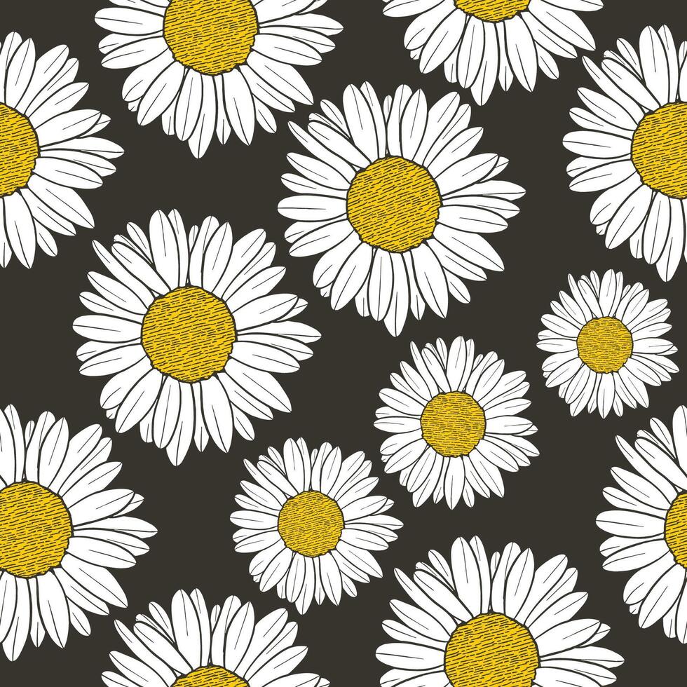 seamless pattern hand drawn white yellow daisies on dark background vector