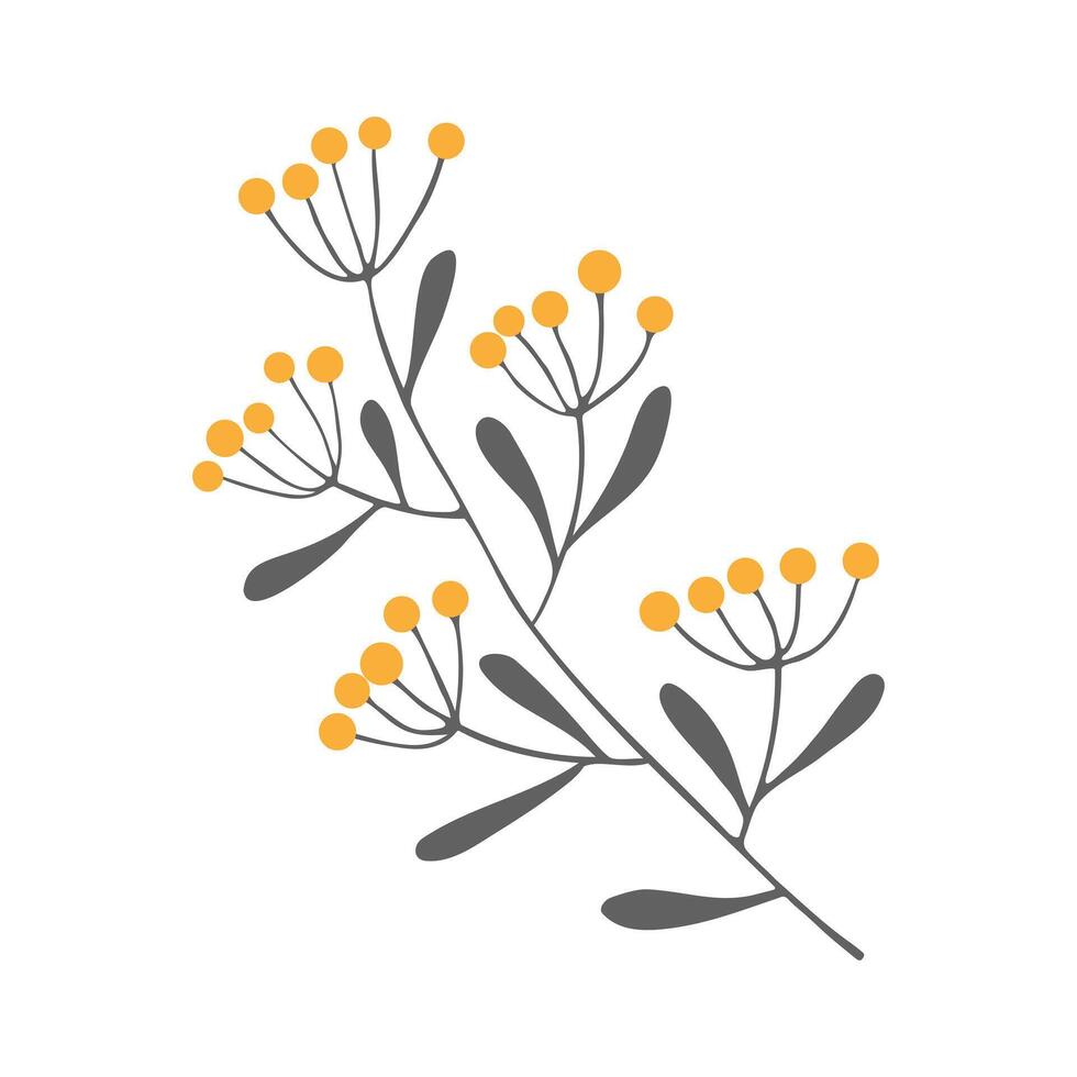 Twig hand drawn, branch doodle with orange berry, element isolated on white background. vector