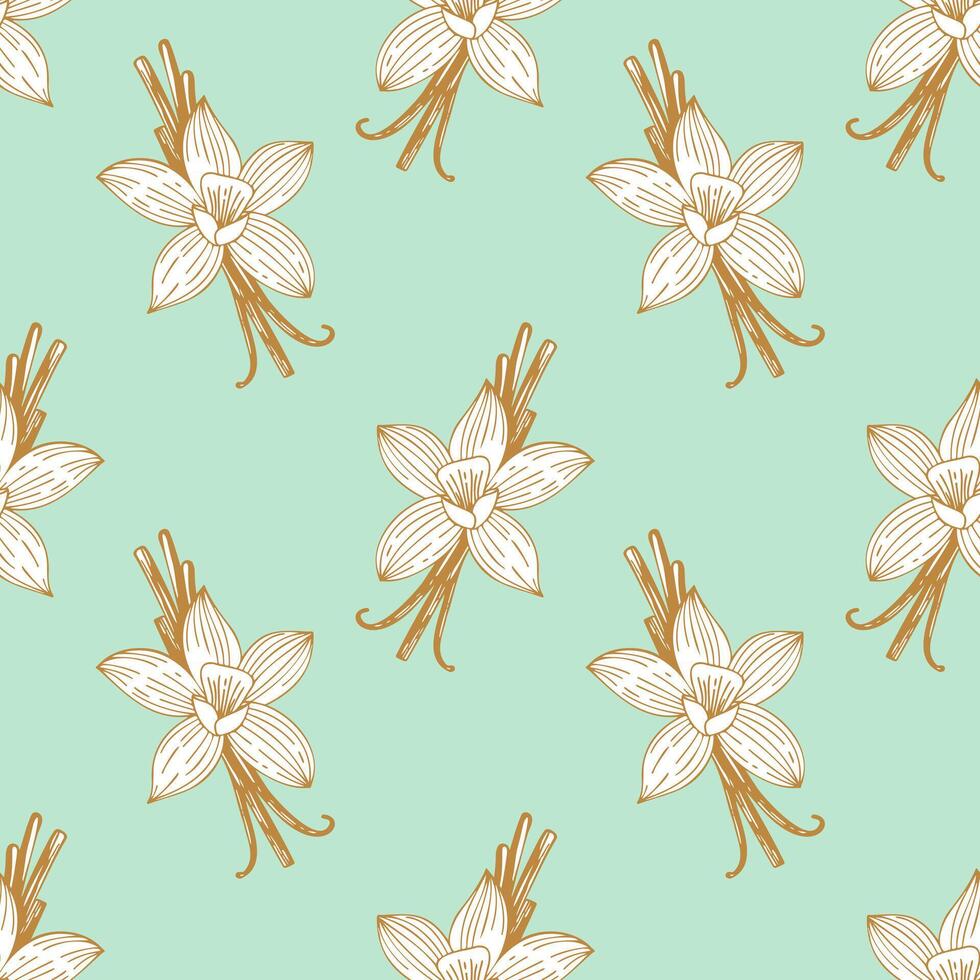 Mint pattern with vanilla spice, gold contour flowers and pods on light green background. vector