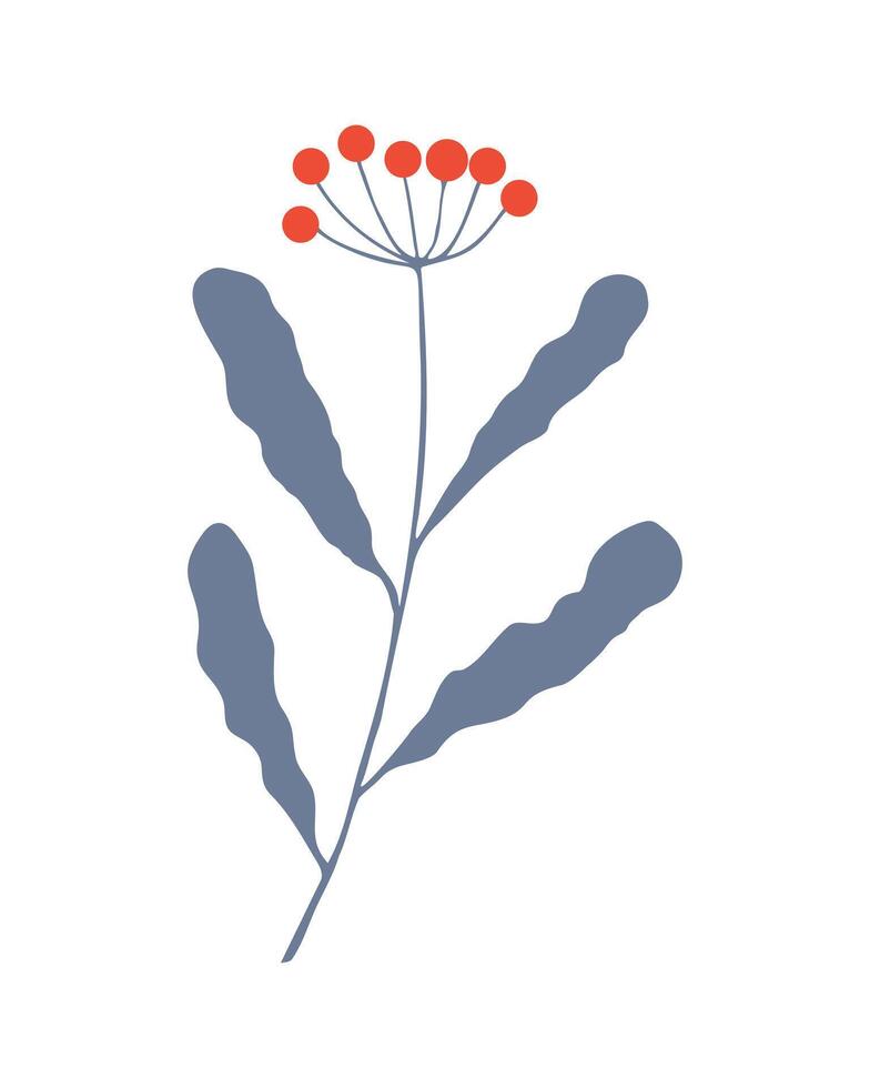 Winter twig hand drawn doodle with red berries, element botanical design. vector