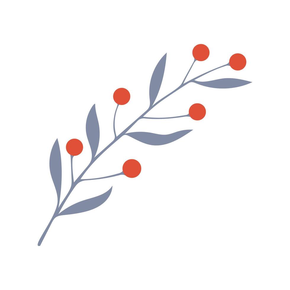Winter twig, branch hand drawn doodle with red berries, element botanical design. vector