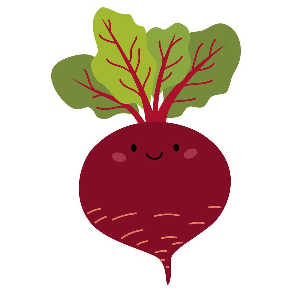 Flat illustration on white background in children's style. Beet with cute face vector