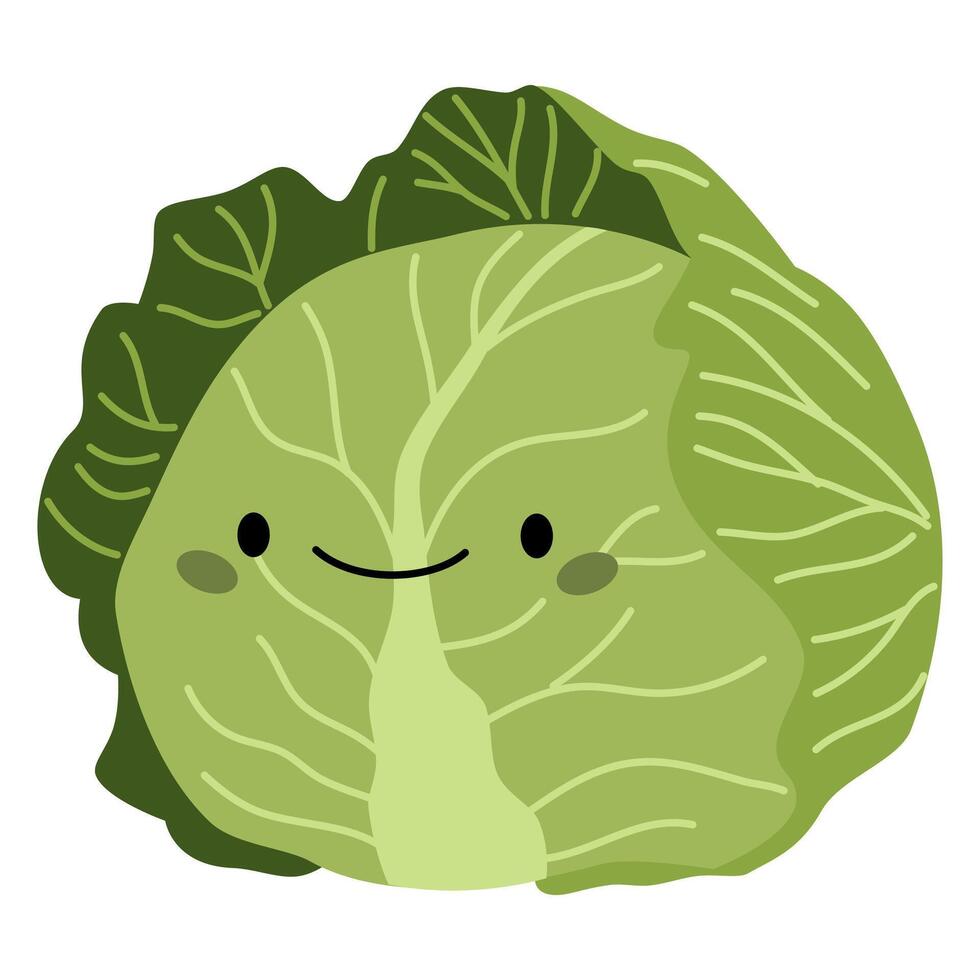 Flat illustration on white background in children's style. Cabbage with cute face vector