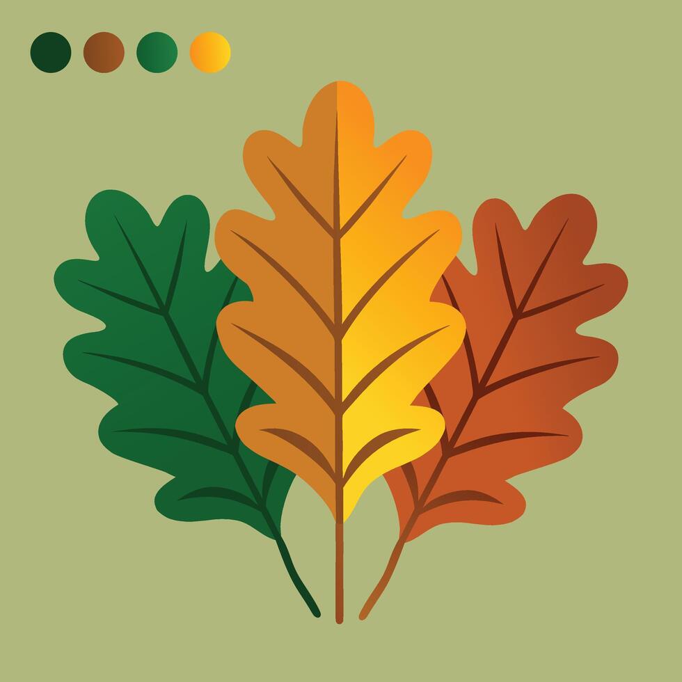 oak leaf,Oak leaves on white background vector