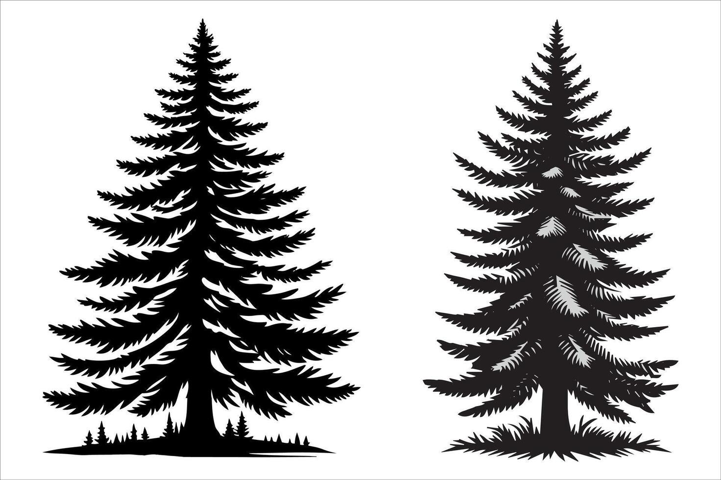 pine tree silhouette with white backround vector