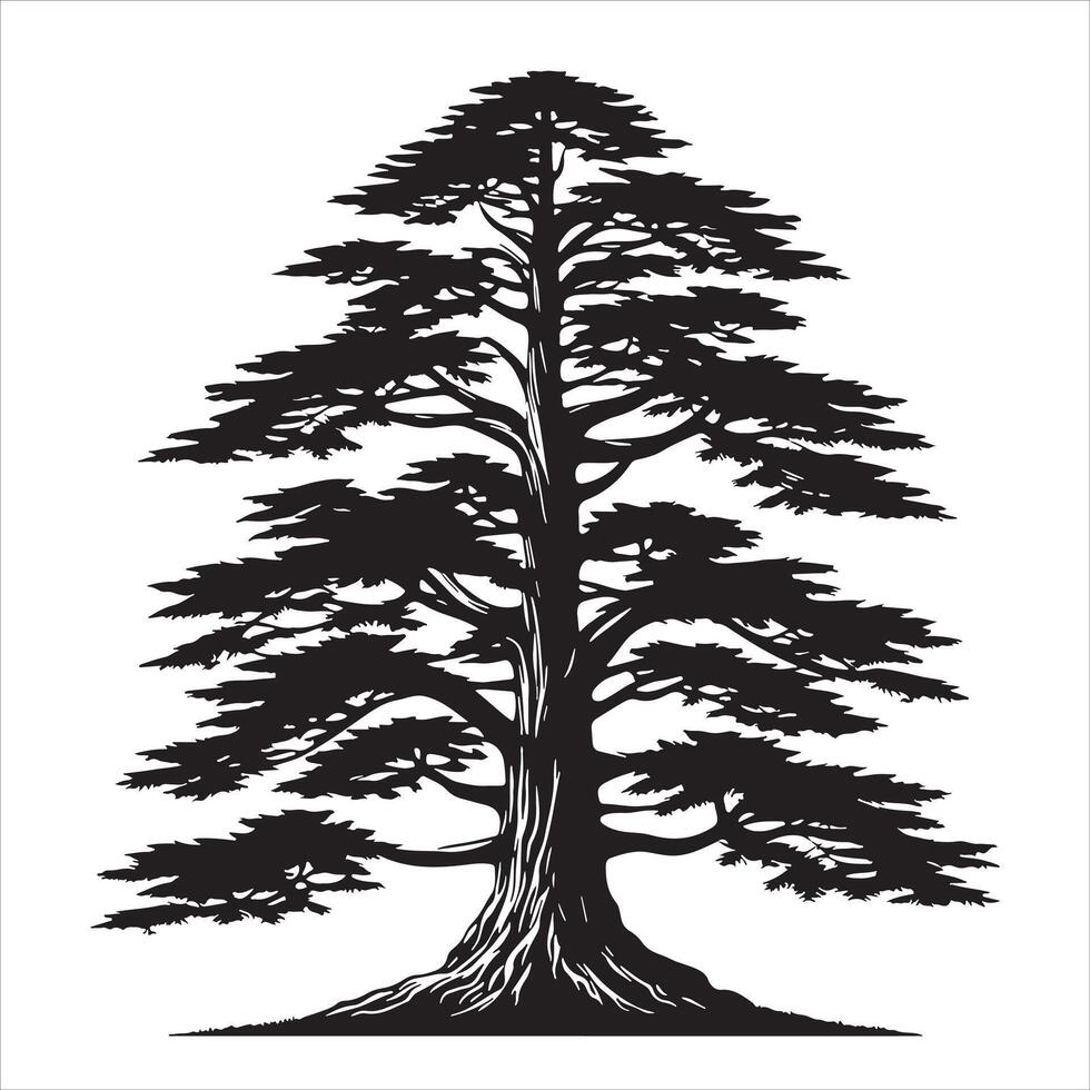 hemlock tree silhouette white backround vector