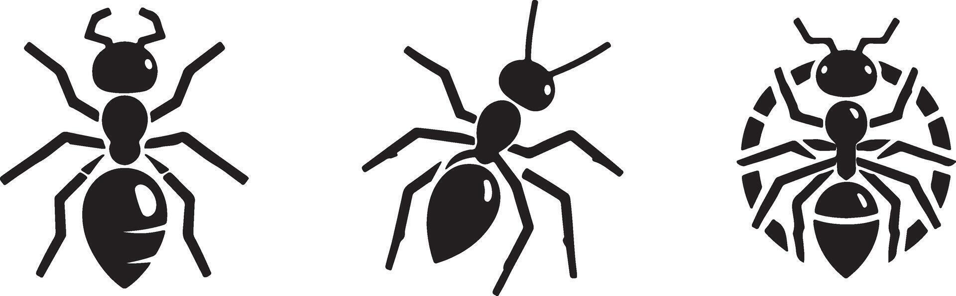 Three black and white insects with different shapes vector