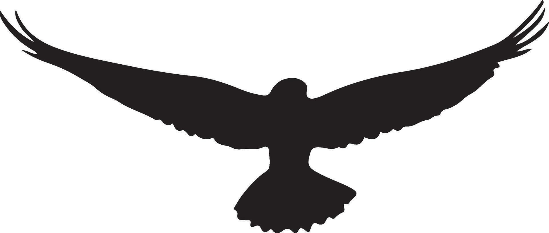 Bird soaring in the sky, flying creature imagery, avian flight design, bird in motion, skybound bird illustration vector