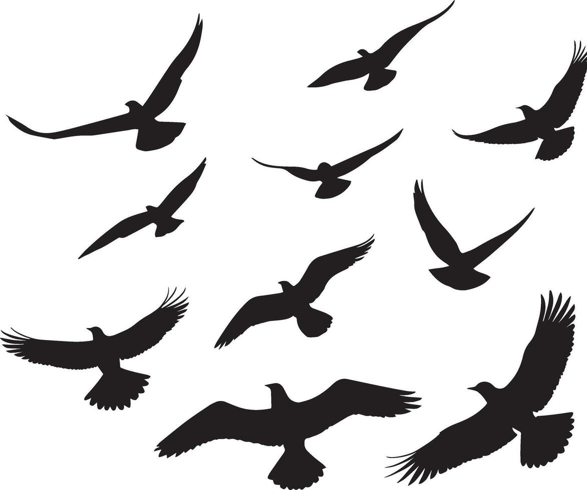 Flying bird silhouette, aerial bird view, free-flying creature, bird against the sky, winged animal in flight vector