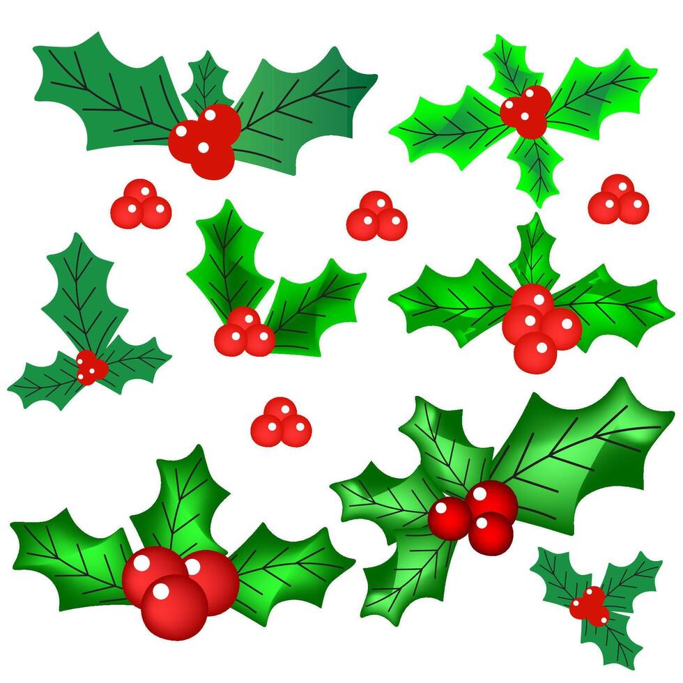 Christmas leaf holiday,custom, , red, green, design holly element, merry, new, ornament, vector