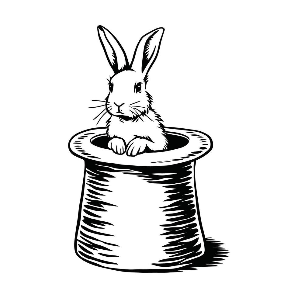 Rabbit in a Magician's Hat Illustration vector