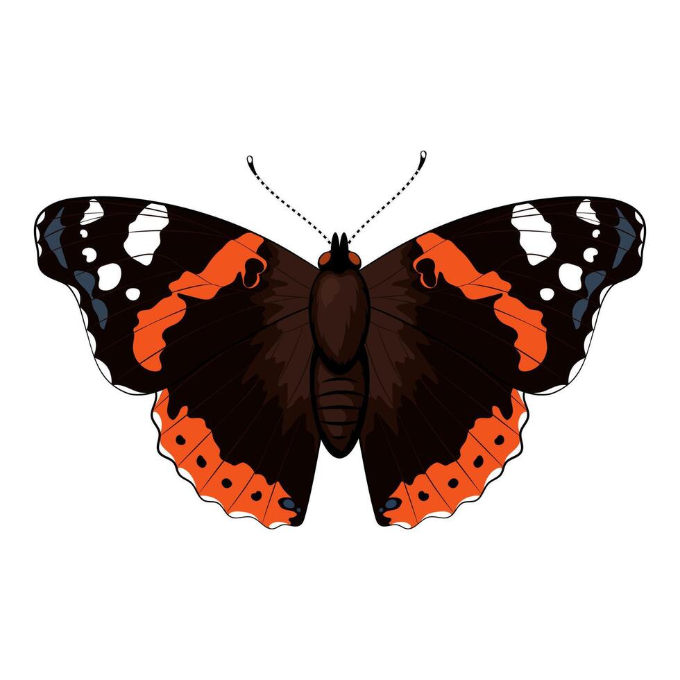 Red admiral, Vanessa atalanta butterfly. illusrtation isolated on white background vector
