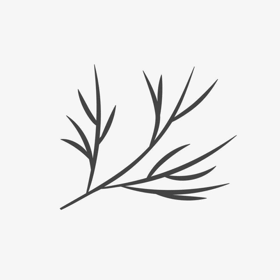 Hand drawn dill illustration. Herb, spice, ingredient for meal. vector