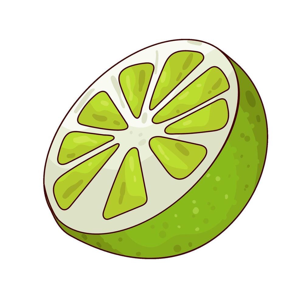 Illustration of lemon slice vector