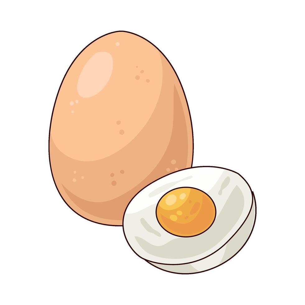 Illustration of boiled egg vector