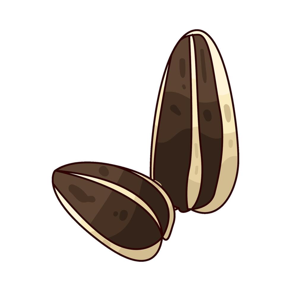 Illustration of sunflower seed vector