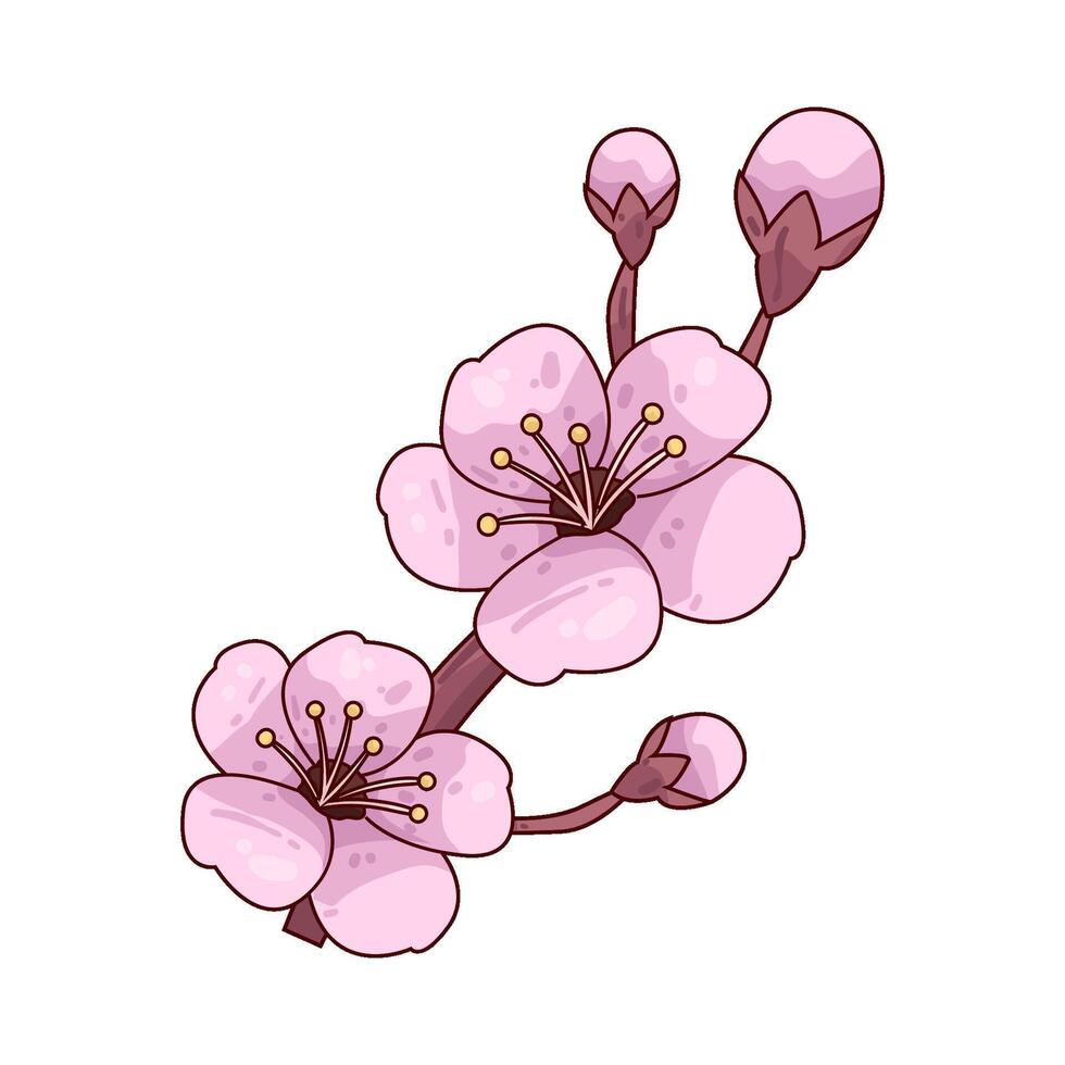 Illustration of cherry blossom vector