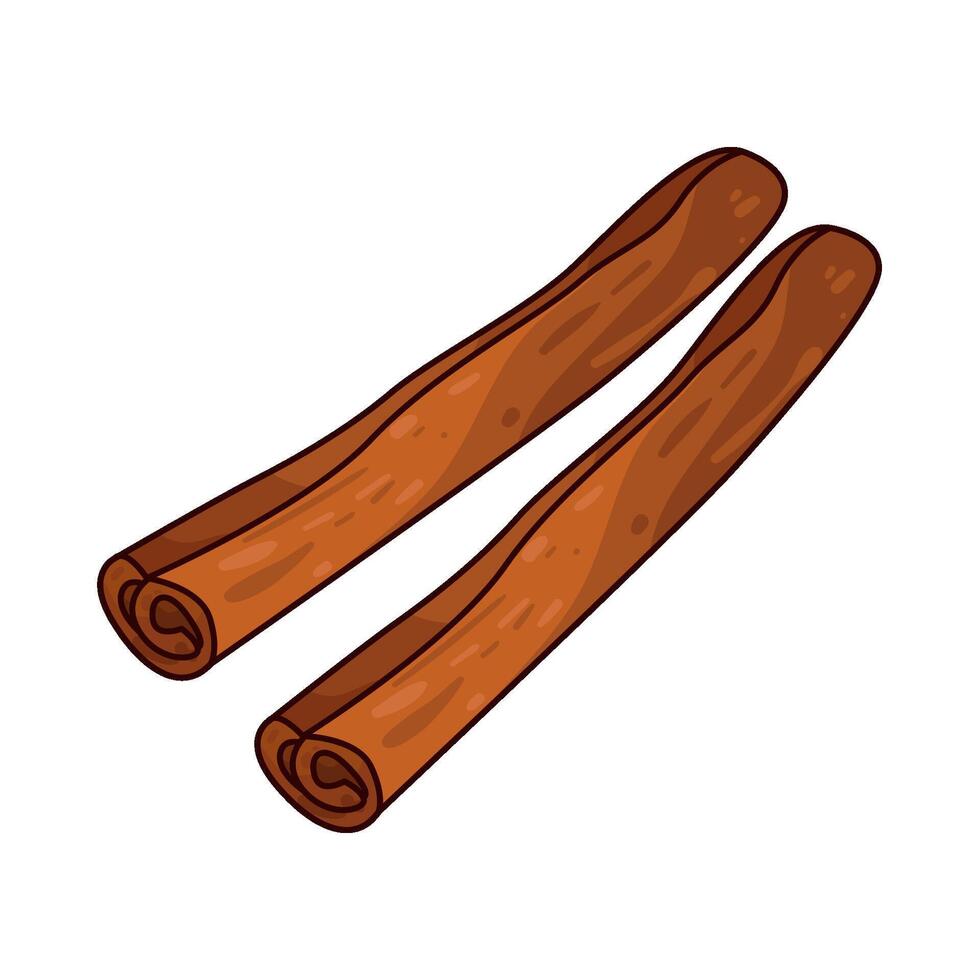 Illustration of cinnamon vector
