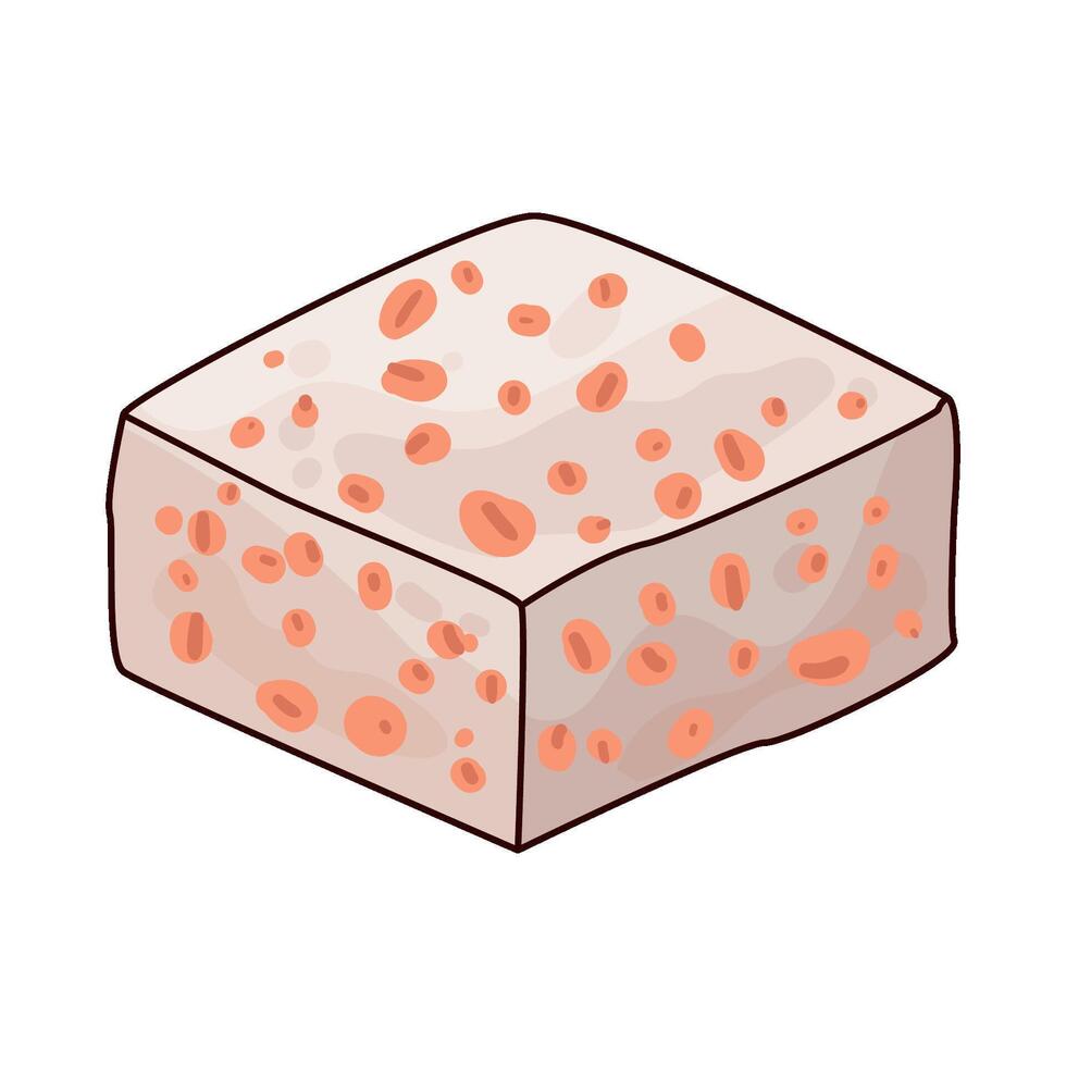 Illustration of tempeh vector
