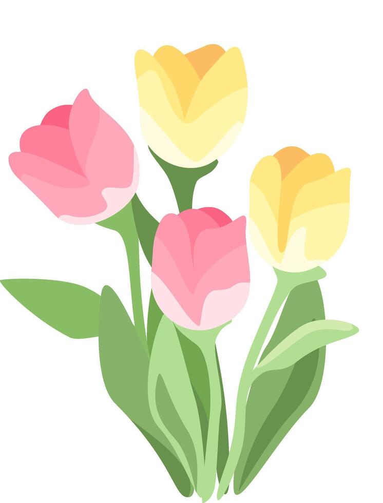 A bouquet of tulips is shown on a white background vector