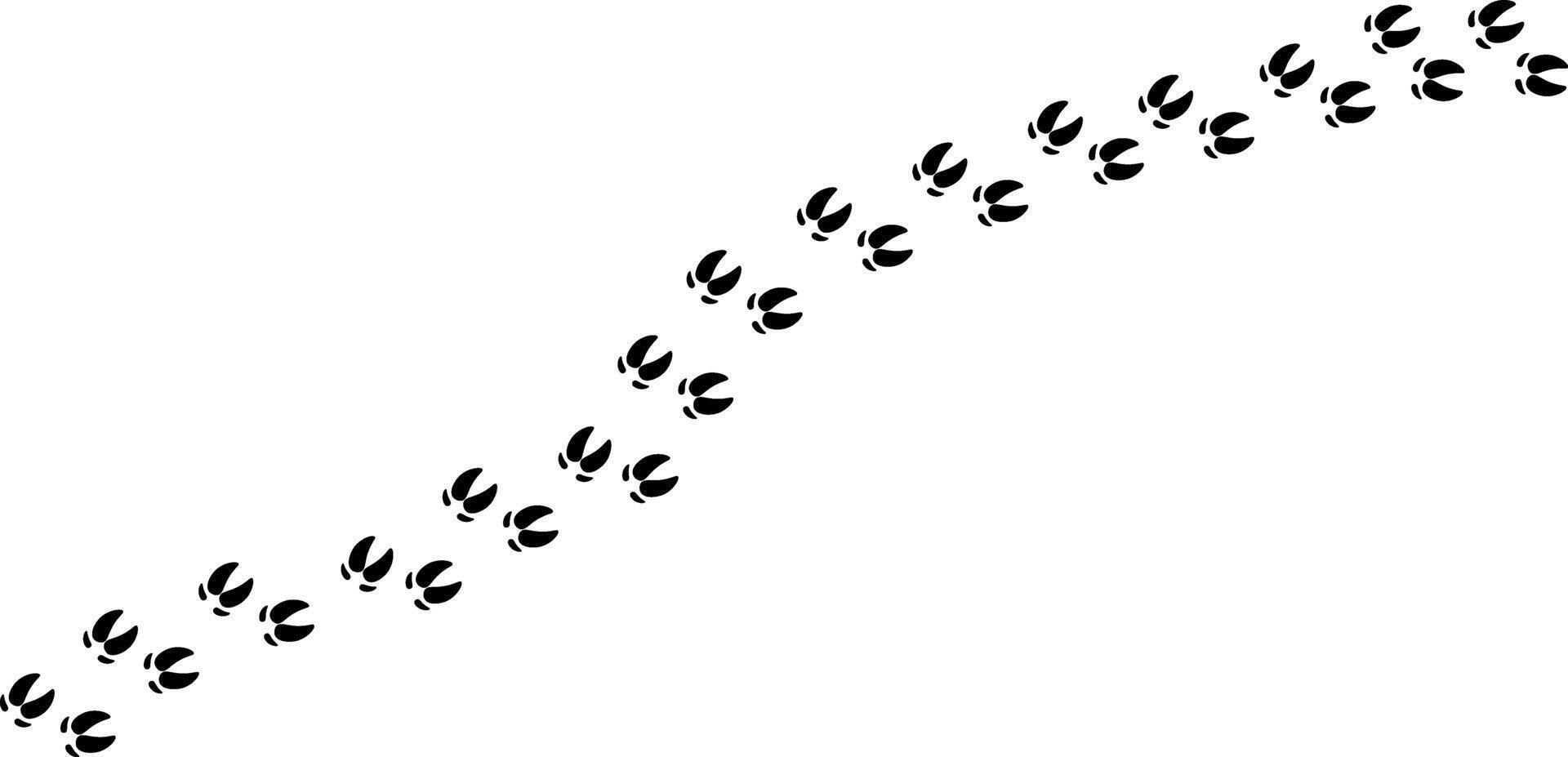 pig footprint track icon vector