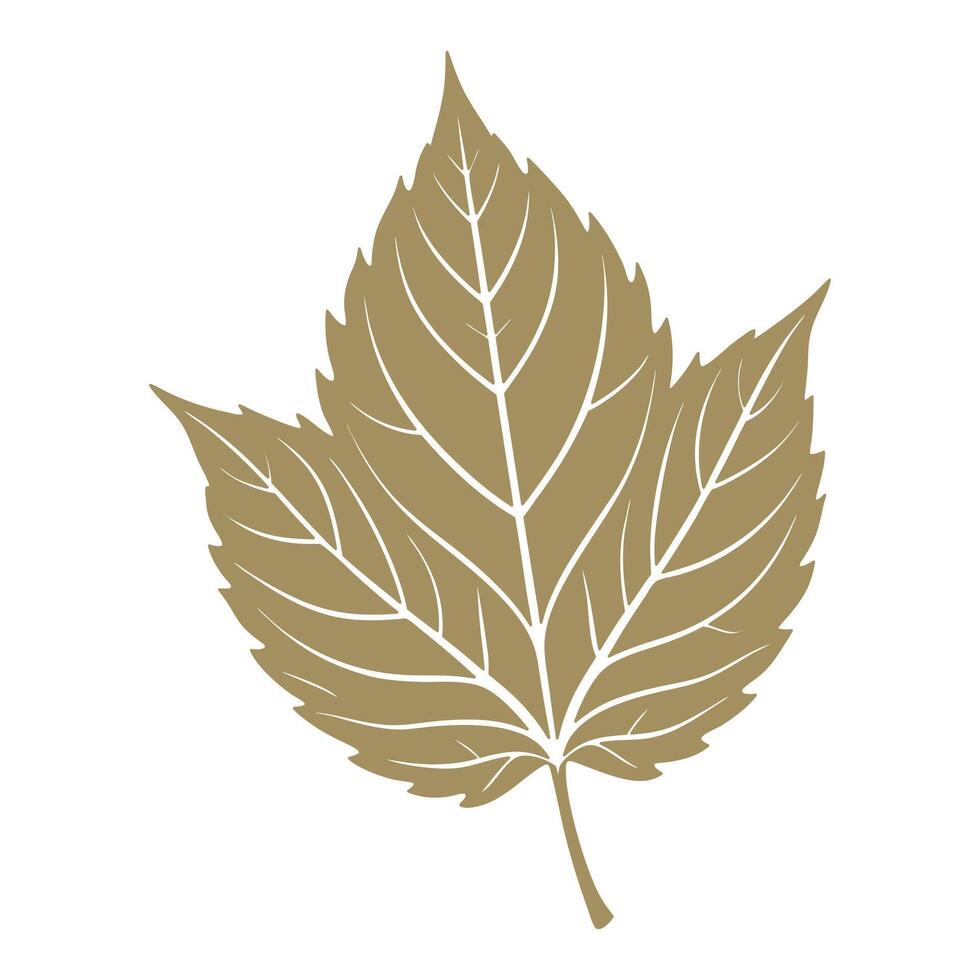 Grape leaf silhouette on white background. Autumn design element. Flat style illustration vector
