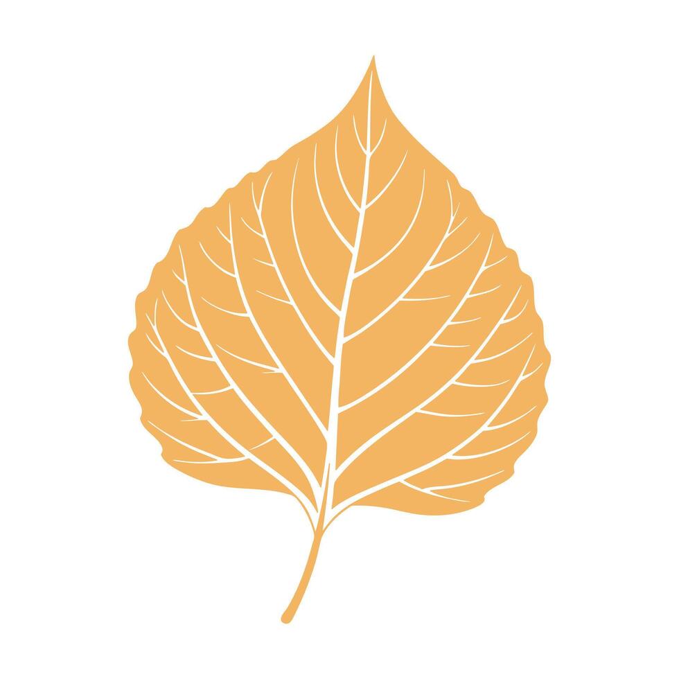 Aspen leaf silhouette on white background. Autumn design element. Flat style illustration vector