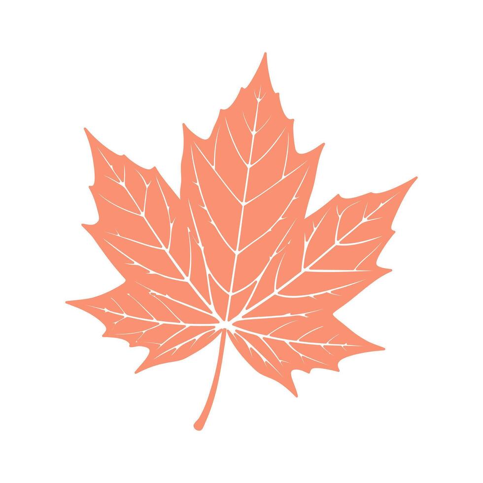 Maple tree leaf silhouette on white background. Autumn design element. Flat style illustration vector
