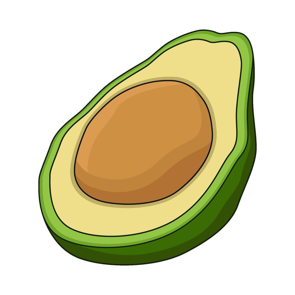 illustration of avocado vector