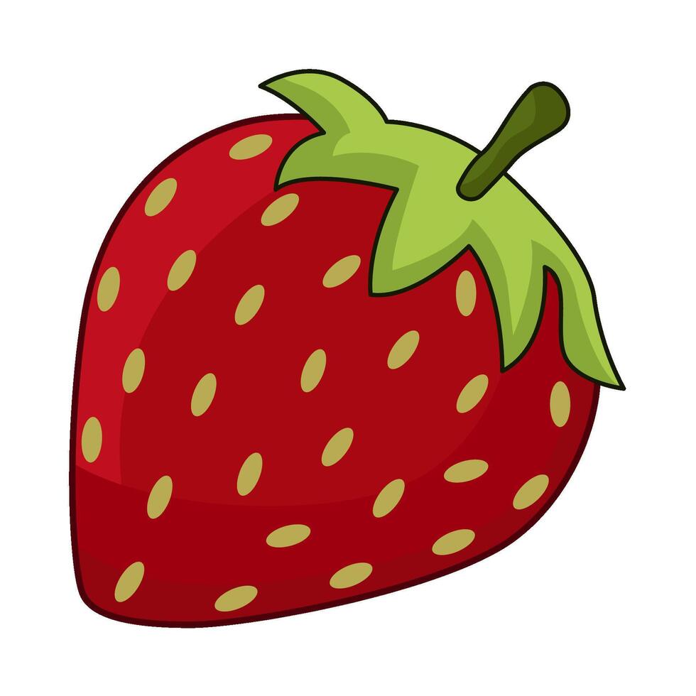 illustration of strawberry vector